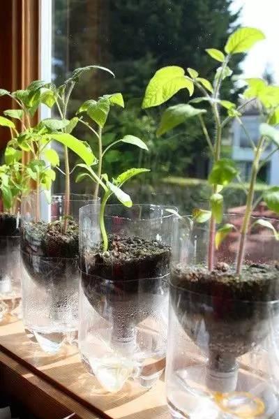 自制便攜收納盒,你家閑置的飲料瓶還能做這些？！